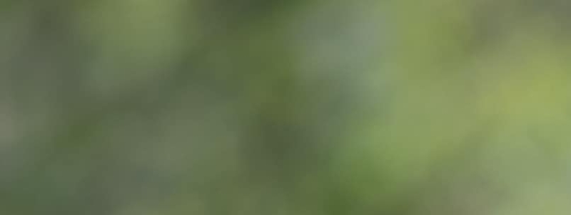 User banner image